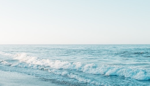 少年期　登場人物